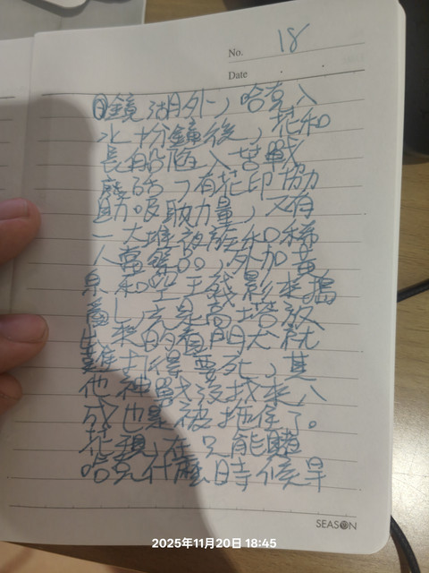 IMG20251120184546.jpg