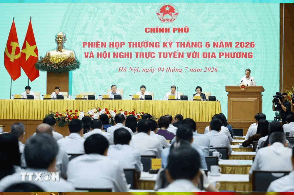 Ảnh minh họa 5