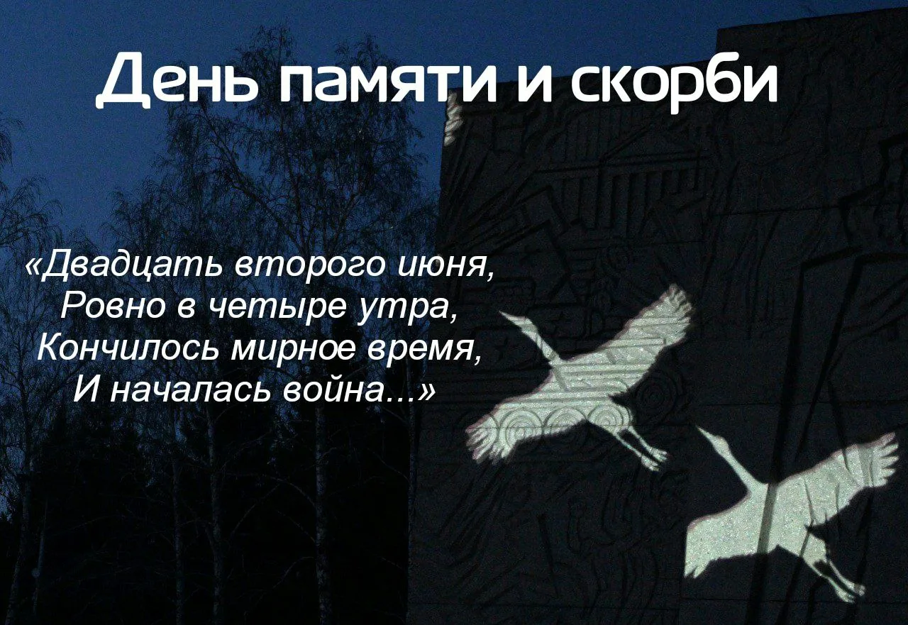 https://i.ibb.co/tpVVMhPB/IMG-5257.webp