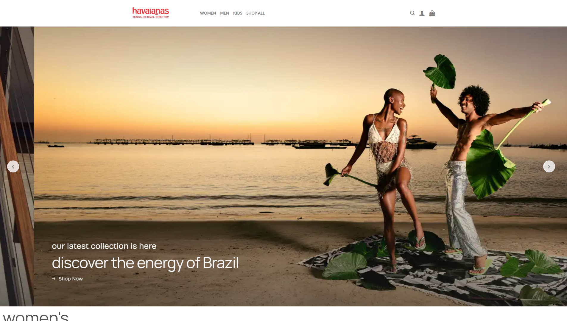 Stored capture of havaianasaty.shop