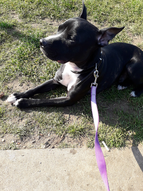 spacer.png