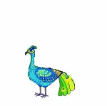 peacock ani original