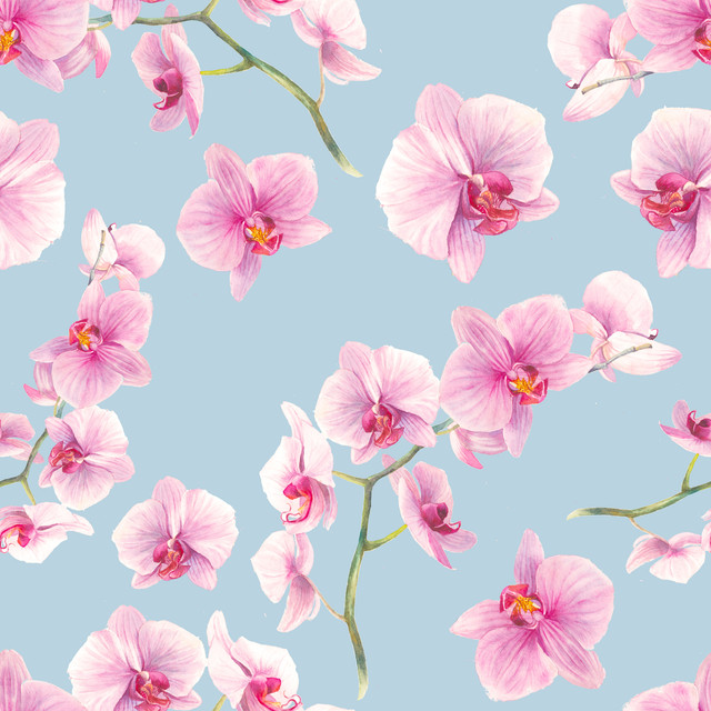 shutterstock 654409015.jpg