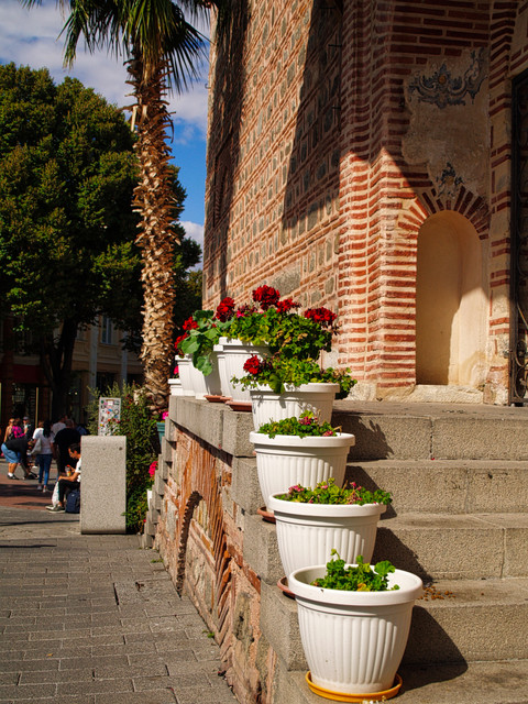 P9270555.jpg