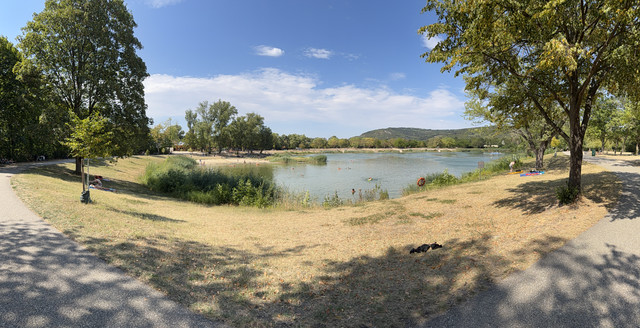 IMG 7870.jpg
