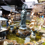 IMG-2767