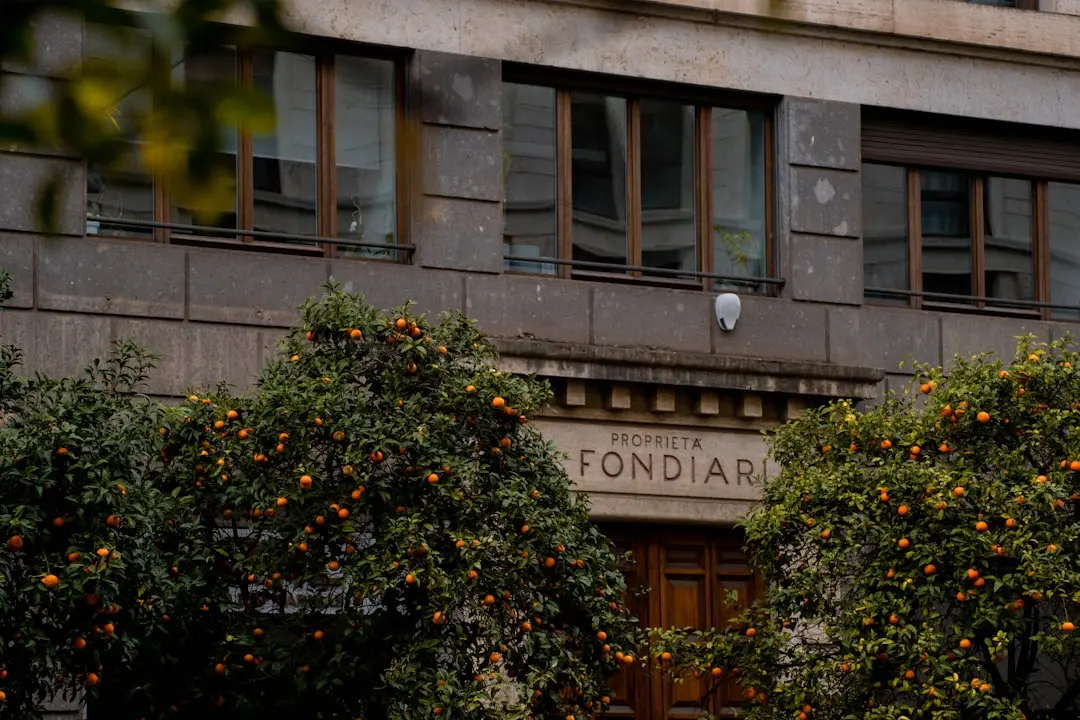 Fondatorii Nomasei stresează abilitățile moi ca cheie pentru a conduce pe piața dură
