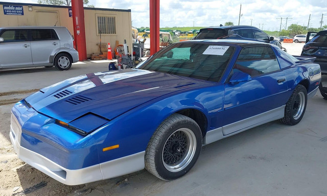 Firebird Blue.jpg