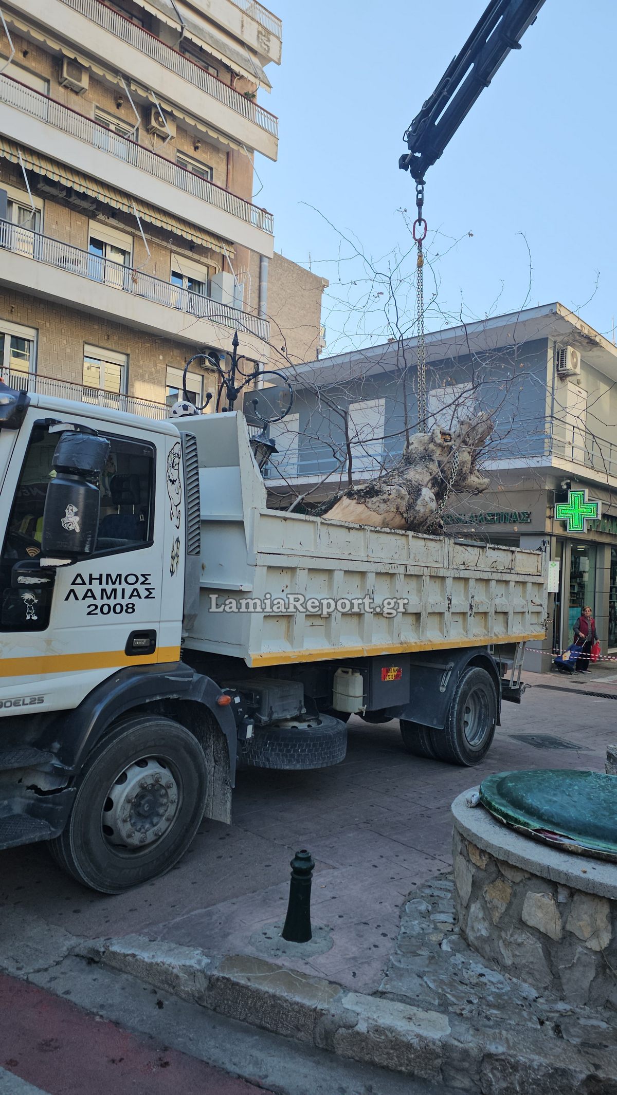 Δεντρο πλατεια Λαου015