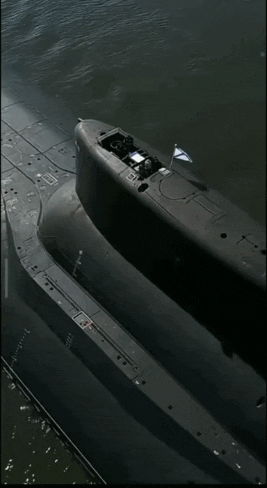 https://i.ibb.co/tpj47dCm/IMG-7927-1.gif