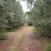 IMG 5096
