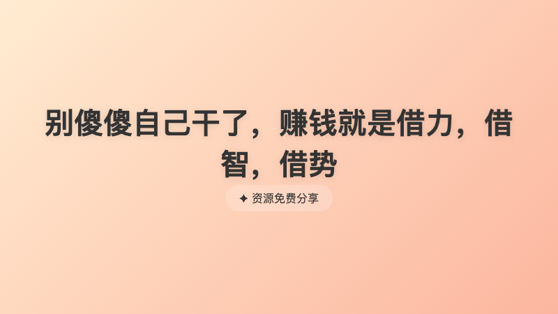 别傻傻自己干了，赚钱就是借力，借智，借势
