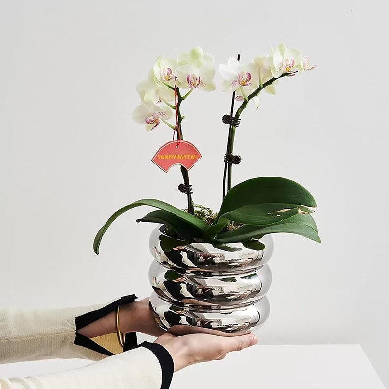 Design Ceramic Planter for Home & Office Decor (Silver)