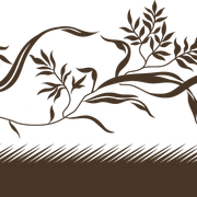 51461ca77b62f433f7b02fcc4b9cccb2