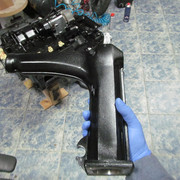 IMG 0427
