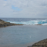 DSCF8598