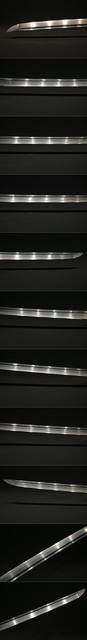 DSC1047.jpg