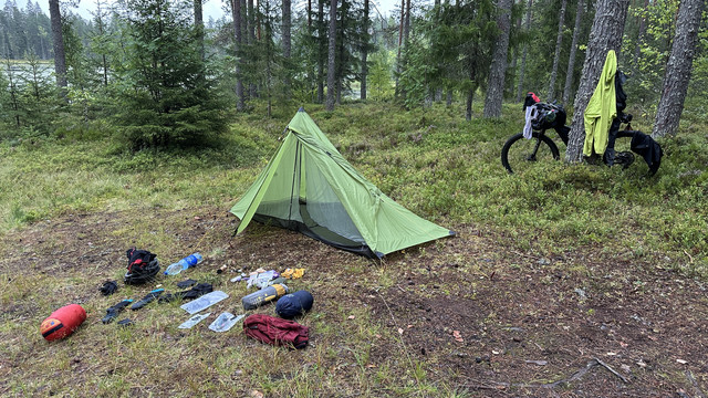 IMG 4493.jpg