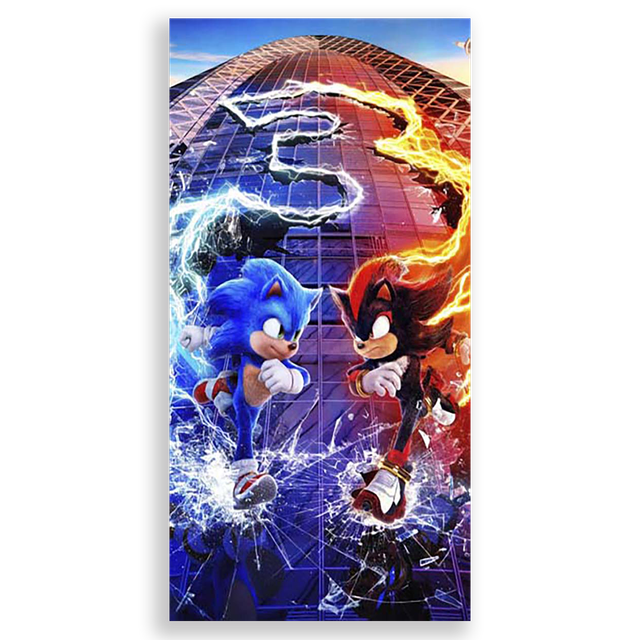 31001570-Sonic
