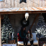 IMG-6378