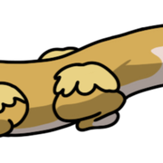 Emberwhisker