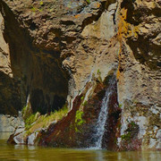 DSC01877