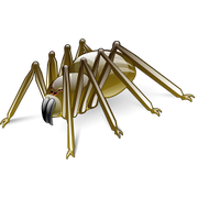 spider