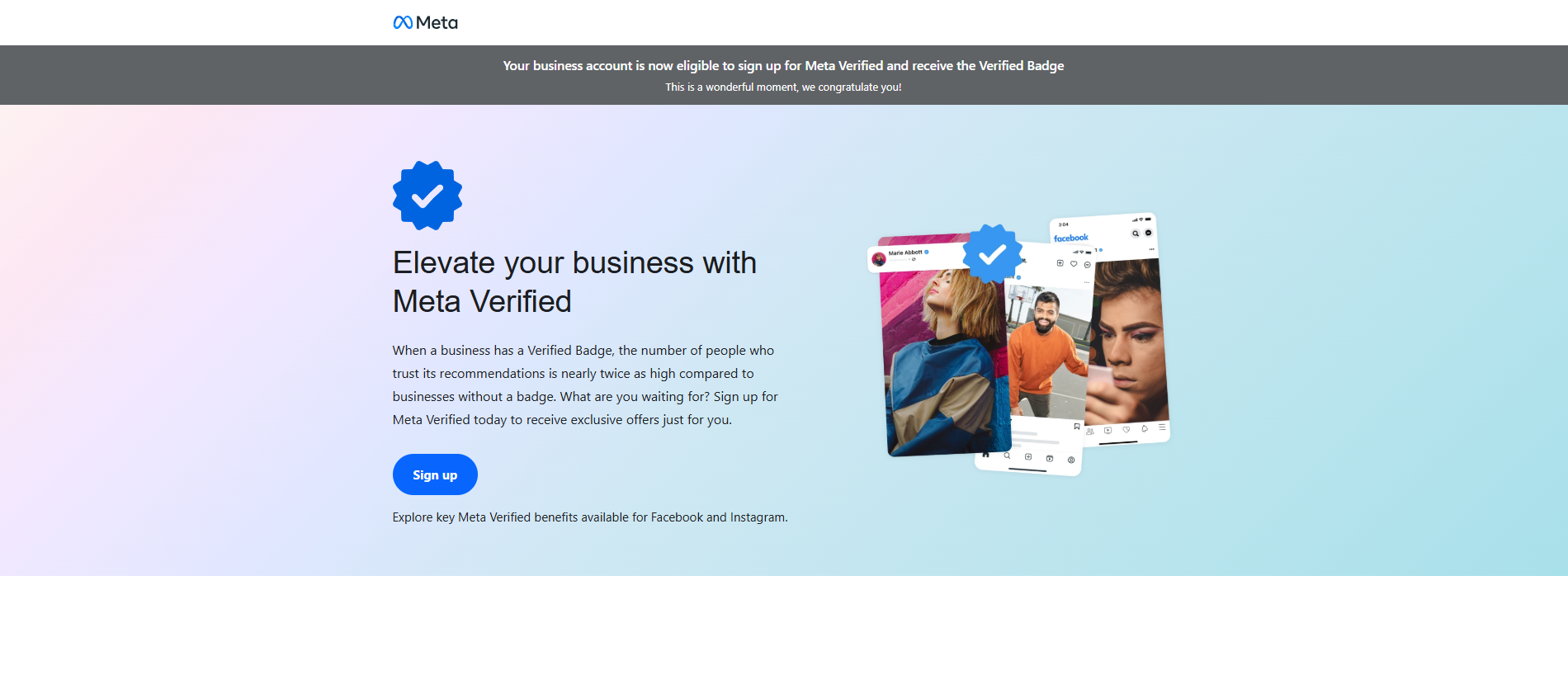 Forensic screenshot of [REDACTED] showing the phishing page layout
