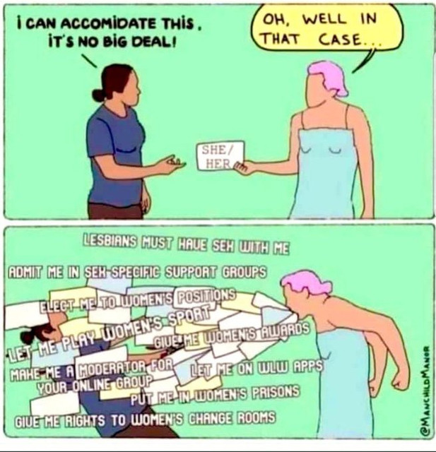 She-her-meme