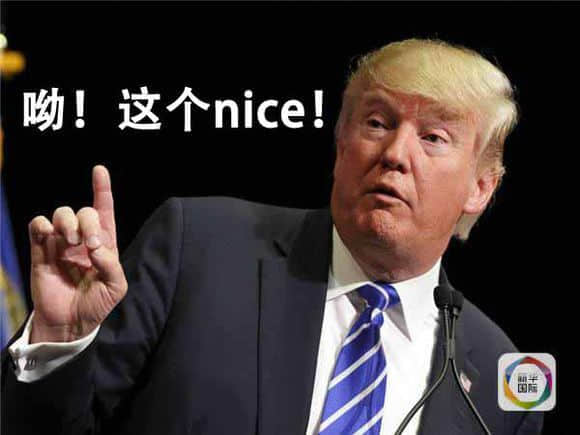 程序员 reaction:呦!这个nice!