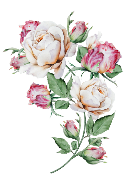 shutterstock-1386917702.png