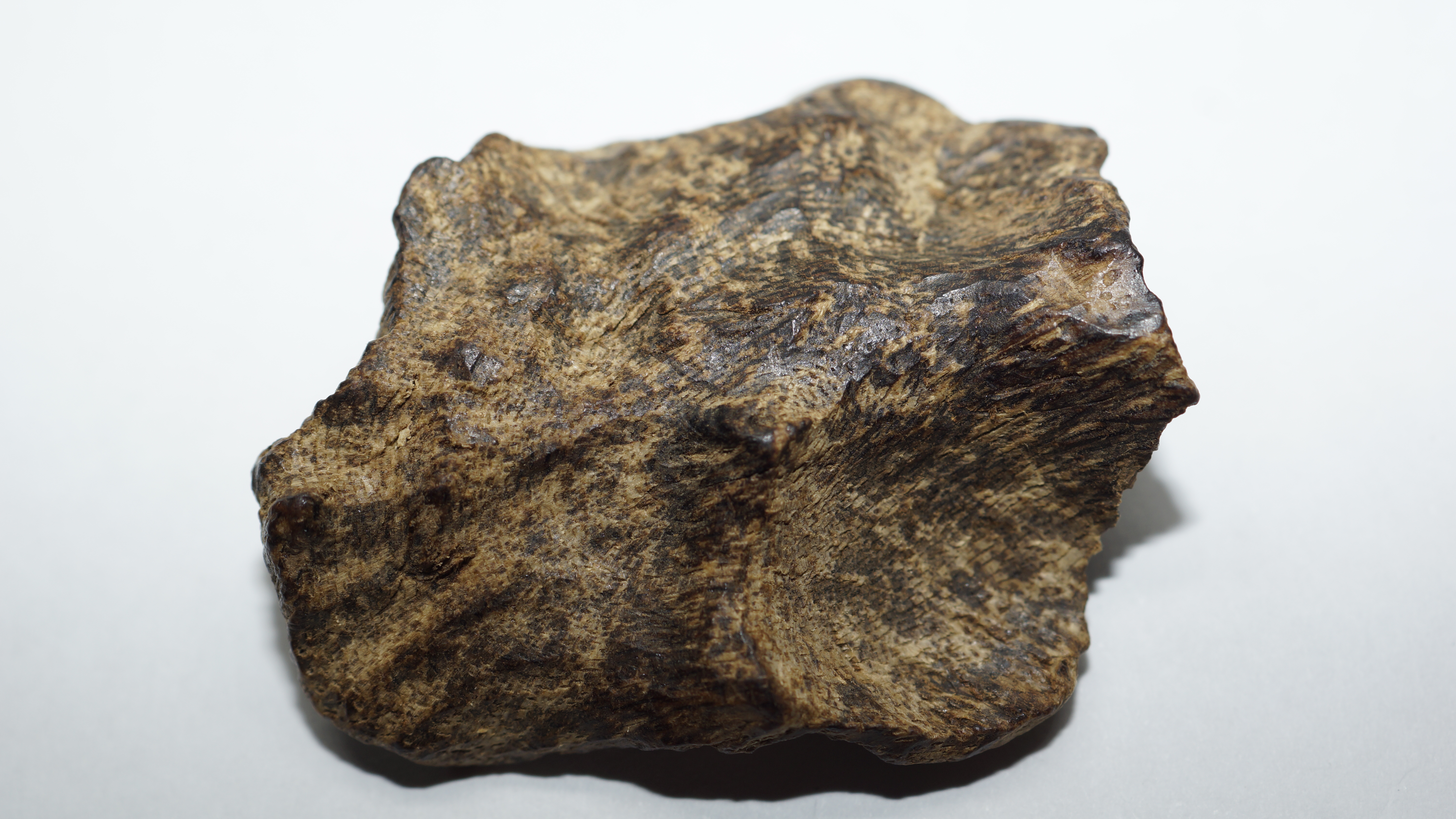 [Ouddict.com] Oud Wood