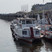 DSC04637