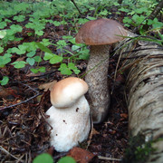 DSC00992