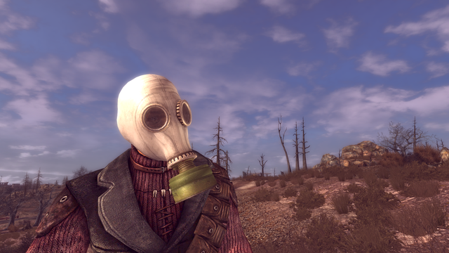 Fallout New Vegas 14