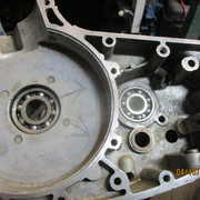IMG-8614