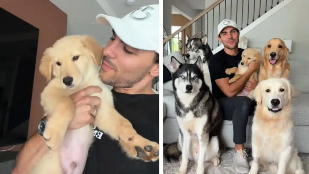 Owner Falls in Love with Foster Puppy and Adopts Him
