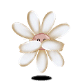 a3b6f5ef6335