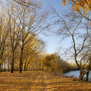 100c0100249m1
