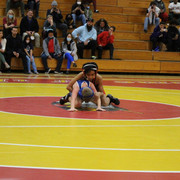 IMG-0142