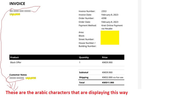 arabic-character-issue