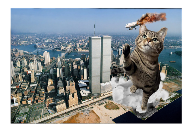 Cat-defends-tower