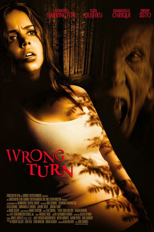 Droga Bez Powrotu / Wrong Turn (2003) 1080p.WEB-DL.H264.AC3.2.0.BP007 | Lektor PL