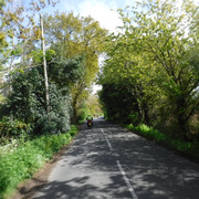 DSCF7789