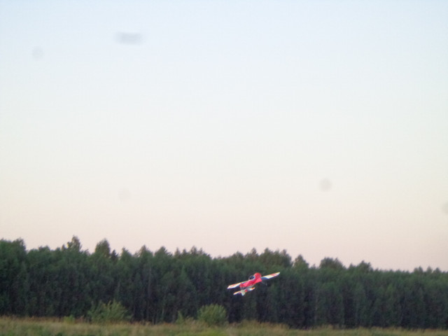 DSC01017.jpg