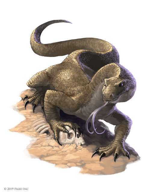 Lizard