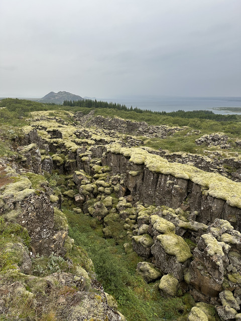 IMG-6029