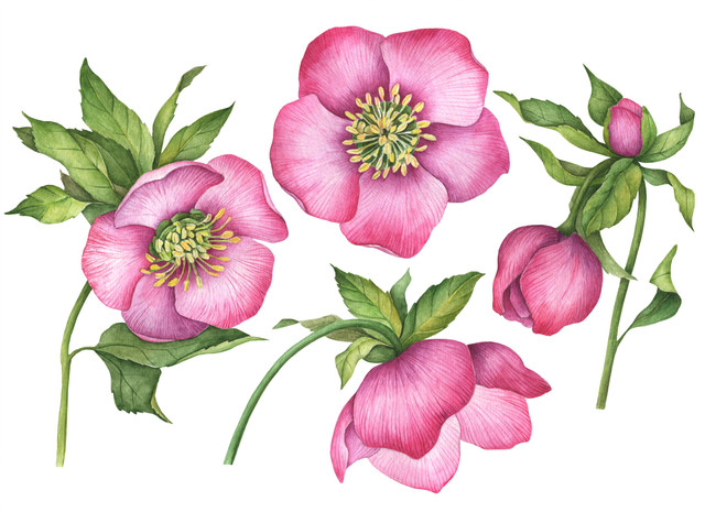 shutterstock 1665721576.jpg