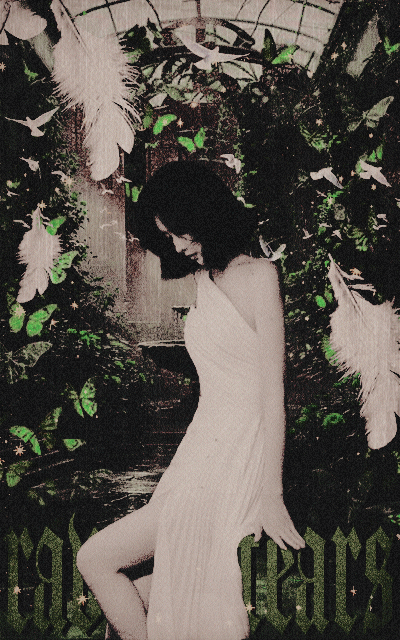 0013.gif