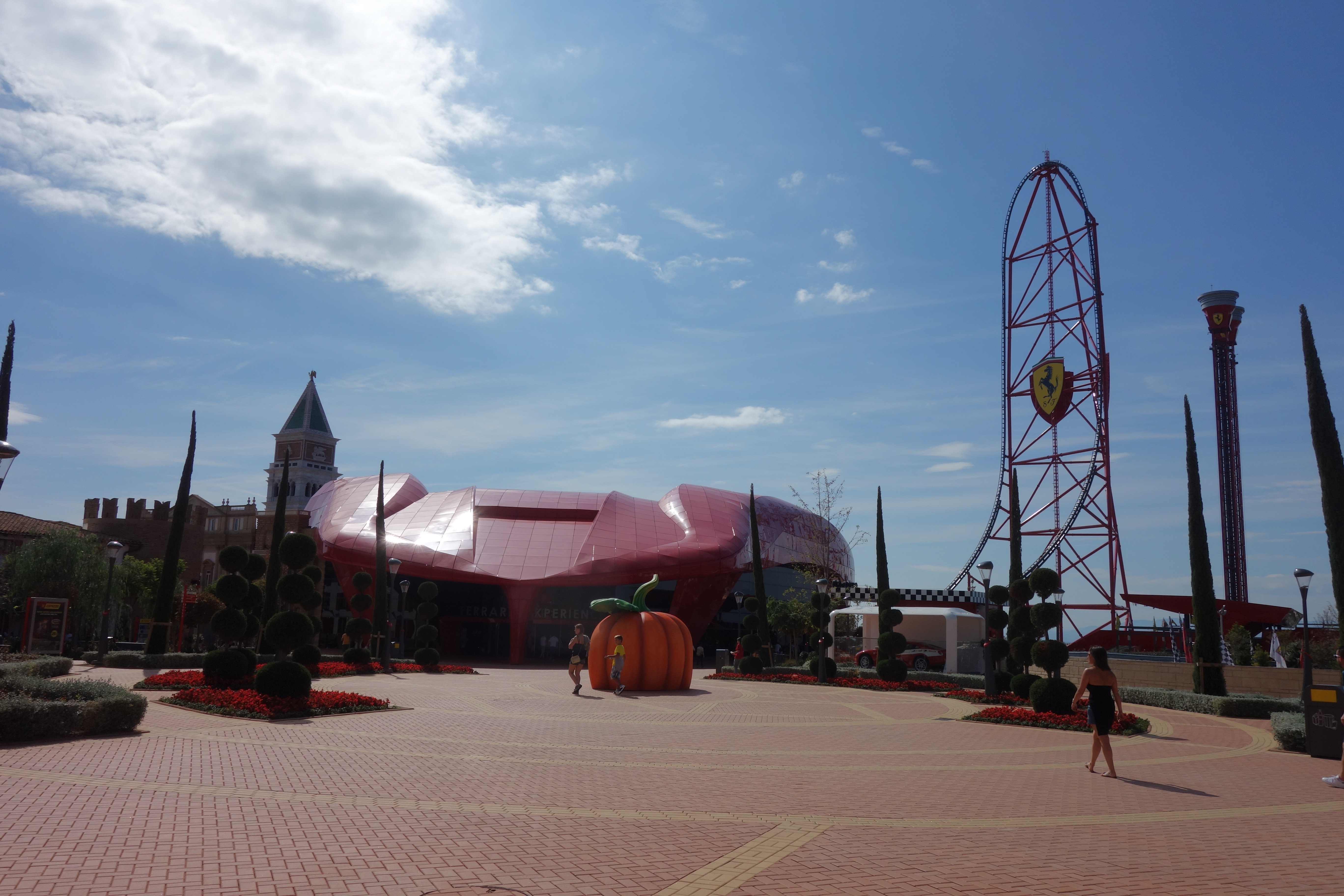 DSC08819